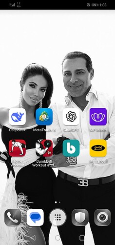 Screenshot_20260402_130400_com.huawei.android.launcher