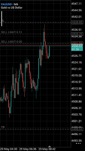 Screenshot_2026-05-29-13-58-32-052_net.metaquotes.metatrader5