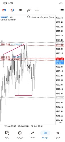 Screenshot_۲۰۲۶۰۶۱۲_۱۳۳۹۳۹_MetaTrader 5