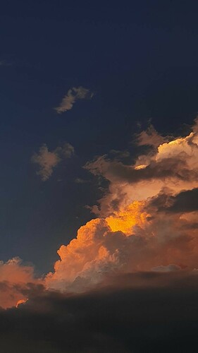 IMG_5515