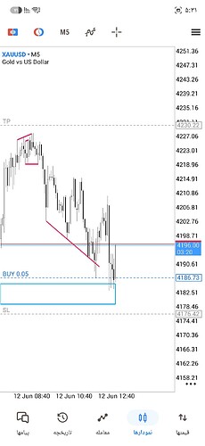 Screenshot_۲۰۲۶۰۶۱۲_۱۷۳۱۴۰_MetaTrader 5