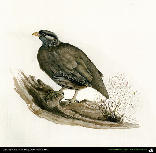 Dibujo_de_un_ave,_(hacia_1902);_Artista_Kamal_ol-Molk_2