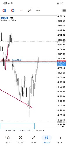Screenshot_۲۰۲۶۰۶۱۲_۱۶۵۴۱۴_MetaTrader 5
