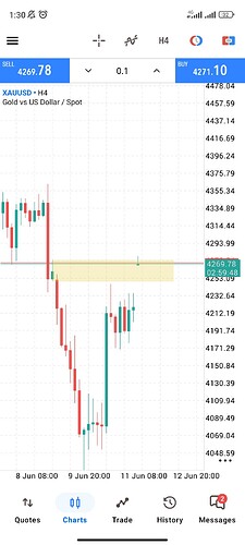 Screenshot_2026-06-15-01-30-13-036_net.metaquotes.metatrader5