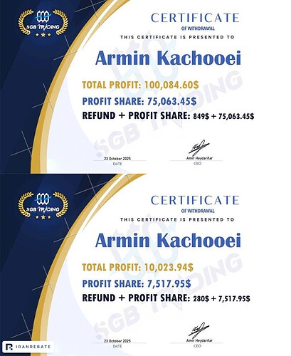 Prop-profit-withdrawal-record