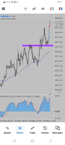 Screenshot_۲۰۲۶۰۵۲۹_۱۴۰۸۰۳_MetaTrader 5