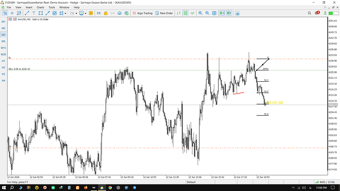 Screenshot (96239)