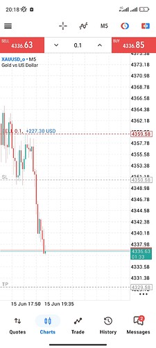 Screenshot_2026-06-15-20-18-27-274_net.metaquotes.metatrader5