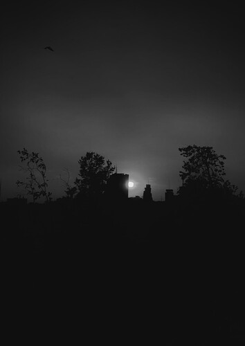 IMG_3671