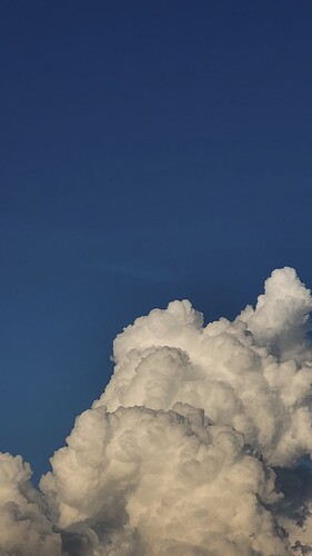 IMG_5516